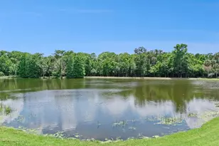 930 Croton Rd, Celebration, FL 34747 - Photo 51