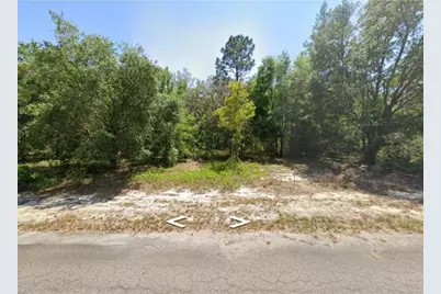 0 Guava Lane Place, Ocklawaha, FL 32179 - Photo 1