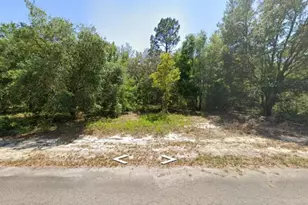 0 Guava Ln Pl, Ocklawaha, FL 32179 - Photo 1