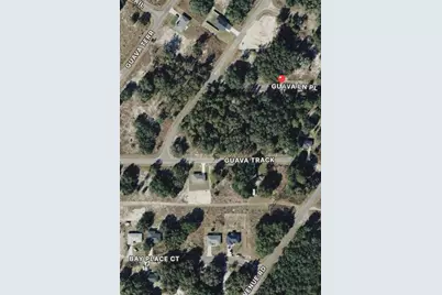 0 Guava Lane Place, Ocklawaha, FL 32179 - Photo 3