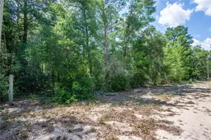 26721 Chippewa Trail, Brooksville, FL 34601 - Photo 35