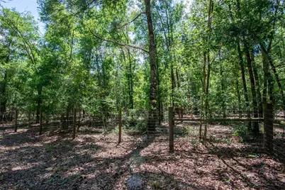 26721 Chippewa Trail, Brooksville, FL 34601 - Photo 27