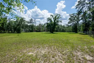 26721 Chippewa Trail, Brooksville, FL 34601 - Photo 33