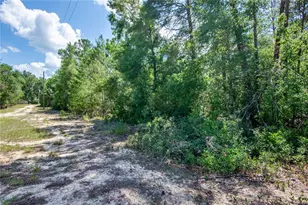 26721 Chippewa Trail, Brooksville, FL 34601 - Photo 37