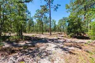 12691 SE 80th St, Morriston, FL 32668 - Photo 63