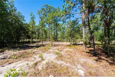 12691 SE 80th Street, Morriston, FL 32668 - Photo 65