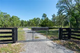 12691 SE 80th St, Morriston, FL 32668 - Photo 79