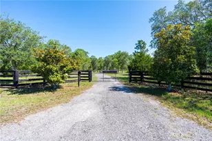 12691 SE 80th St, Morriston, FL 32668 - Photo 3
