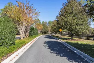 24250 Deep Springs Loop, Eustis, FL 32736 - Photo 7