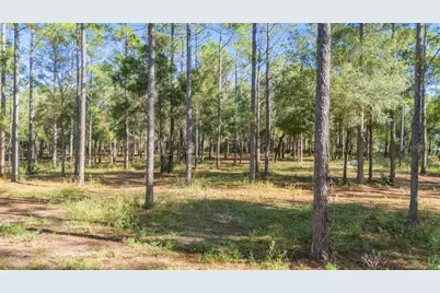 24250 Deep Springs Loop, Eustis, FL 32736 - Photo 9