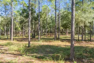 24250 Deep Springs Loop, Eustis, FL 32736 - Photo 9