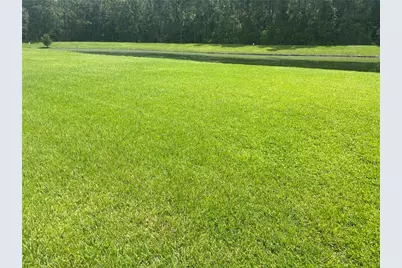 1125 Lascala Drive, Windermere, FL 34786 - Photo 33