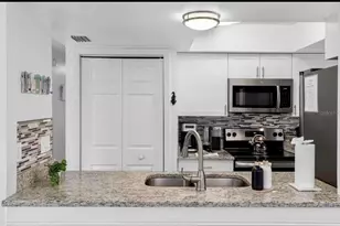 313 Crystal Beach Ave, Crystal Beach, FL 34681 - Photo 21