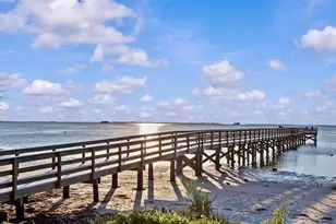 313 Crystal Beach Ave, Crystal Beach, FL 34681 - Photo 55