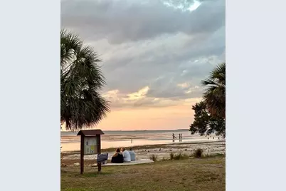 313 Crystal Beach Avenue, Crystal Beach, FL 34681 - Photo 55