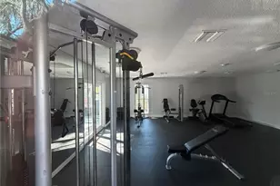 7177 E Bank Dr, Tampa, FL 33617 - Photo 17