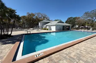 7177 E Bank Dr, Tampa, FL 33617 - Photo 13
