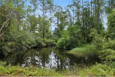 4001 Heirloom Rose Place, Oviedo, FL 32766 - Photo 39