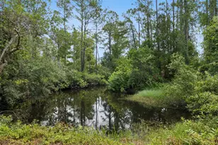 4001 Heirloom Rose Pl, Oviedo, FL 32766 - Photo 39