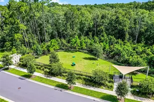 17422 Honeybell Tangelo Ct, Winter Garden, FL 34787 - Photo 37