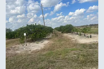 Ne Hwy 70, Arcadia, FL 34266 - Photo 1