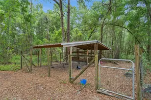 28100 SE 171st St, Umatilla, FL 32784 - Photo 23