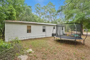 28100 SE 171st St, Umatilla, FL 32784 - Photo 19