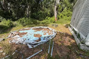 369 Cr 552N, Bushnell, FL 33513 - Photo 5