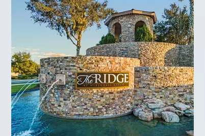 31321 Chesapeake Bay Drive, Wesley Chapel, FL 33543 - Photo 51
