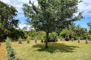 1047 Oak Bluff Dr, Davenport, FL 33837 - Photo 11