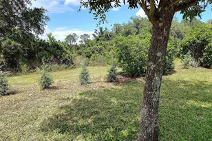 1047 Oak Bluff Dr, Davenport, FL 33837 - Photo 39