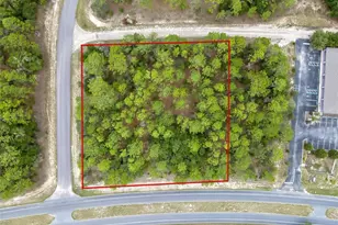 9787 N Citrus Springs Blvd, Citrus Springs, FL 34434 - Photo 1