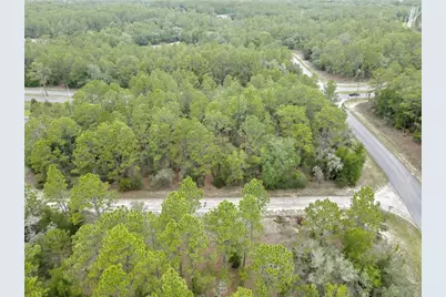 9787 N Citrus Springs Boulevard, Citrus Springs, FL 34434 - Photo 7
