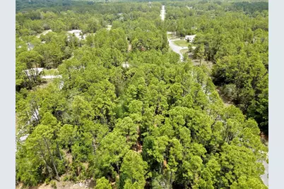 7732 N Udal Drive, Citrus Springs, FL 34434 - Photo 9