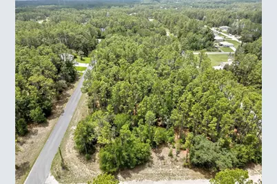 7732 N Udal Drive, Citrus Springs, FL 34434 - Photo 5