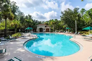 226 Ashford Lakes Cir, Ormond Beach, FL 32174 - Photo 53