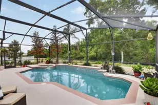 388 Sand Ridge Dr, Davenport, FL 33896 - Photo 51