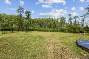 12918 Promise Pl, Orlando, FL 32832 - Photo 43