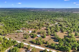 11751 NE 116th St, Archer, FL 32618 - Photo 3