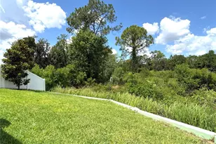 1337 Cascade Dr, Davenport, FL 33837 - Photo 25
