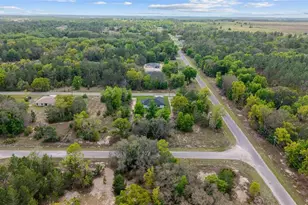 5 Malauka Loop Trk, Ocklawaha, FL 32179 - Photo 55