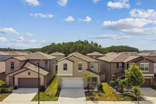 2139 Stellar Brilliance Wy, Lutz, FL 33558 - Photo 91