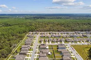 2139 Stellar Brilliance Wy, Lutz, FL 33558 - Photo 7