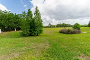 849 Panical Dr, Apopka, FL 32703 - Photo 31