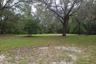 6320 SE 91st Trail, Trenton, FL 32693 - Photo 39
