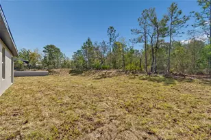 11248 Flock Ave, Weeki Wachee, FL 34613 - Photo 63