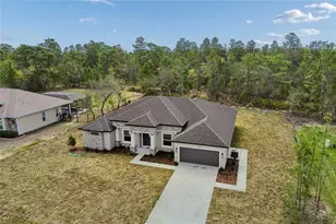 11248 Flock Ave, Weeki Wachee, FL 34613 - Photo 73
