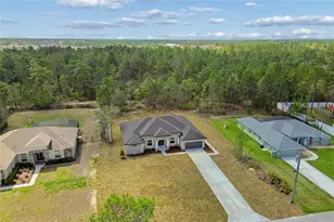 11248 Flock Ave, Weeki Wachee, FL 34613 - Photo 75
