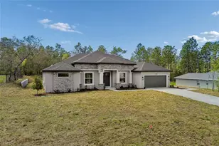 11248 Flock Ave, Weeki Wachee, FL 34613 - Photo 67