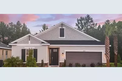 33320 Castaway Loop, Wesley Chapel, FL 33543 - Photo 1